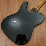 Squier Standard Series Telecaster Obey Propaganda - Image 4